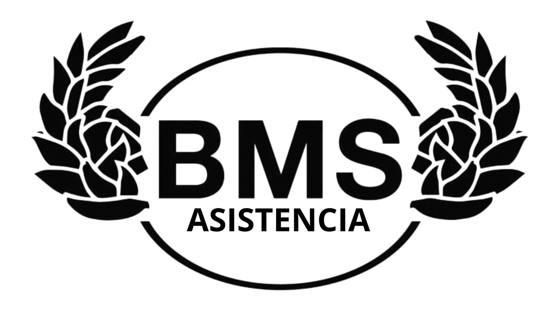 BMS Asistencia Logo